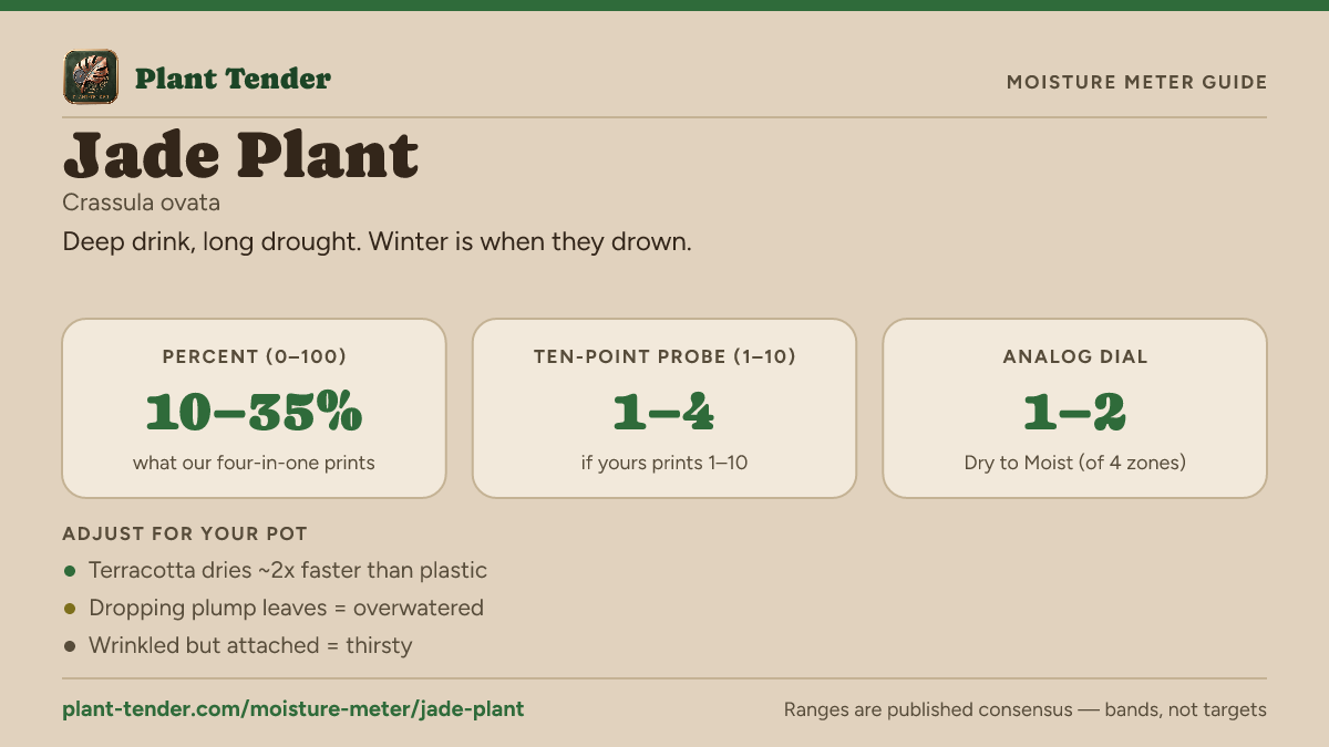 Moisture meter guide for jade plant: target range on the 1–10 probe, the analog dial and percent, plus soil-mix adjustments