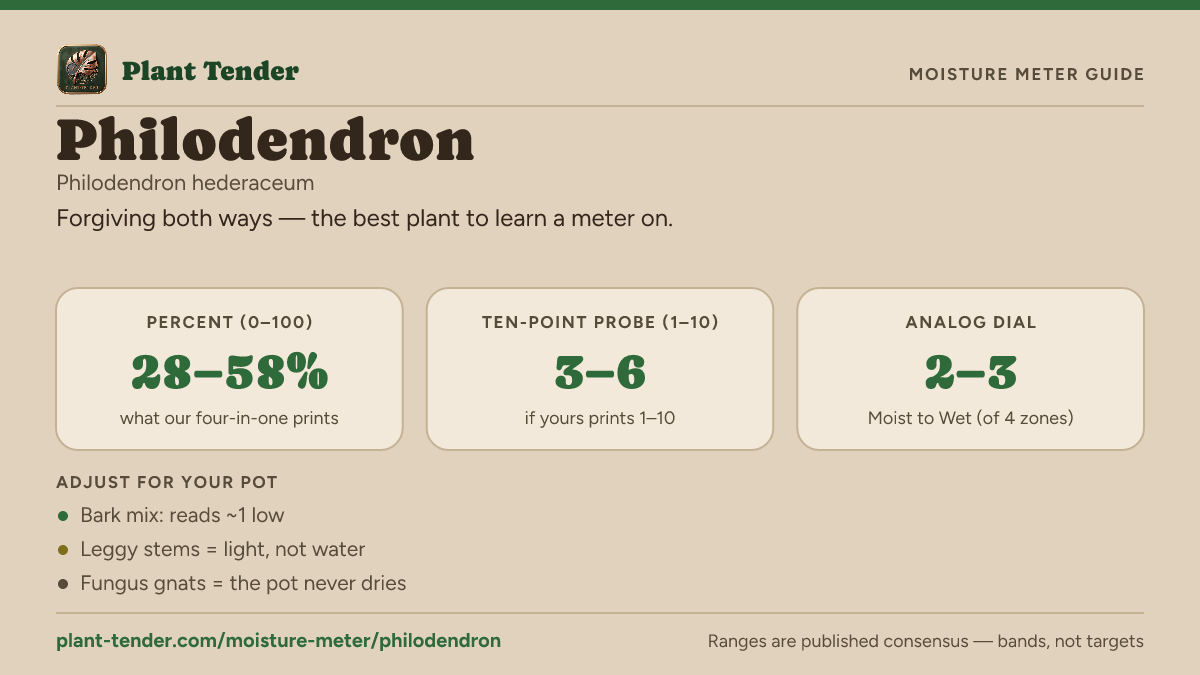 Moisture meter guide for philodendron: target range on the 1–10 probe, the analog dial and percent, plus soil-mix adjustments