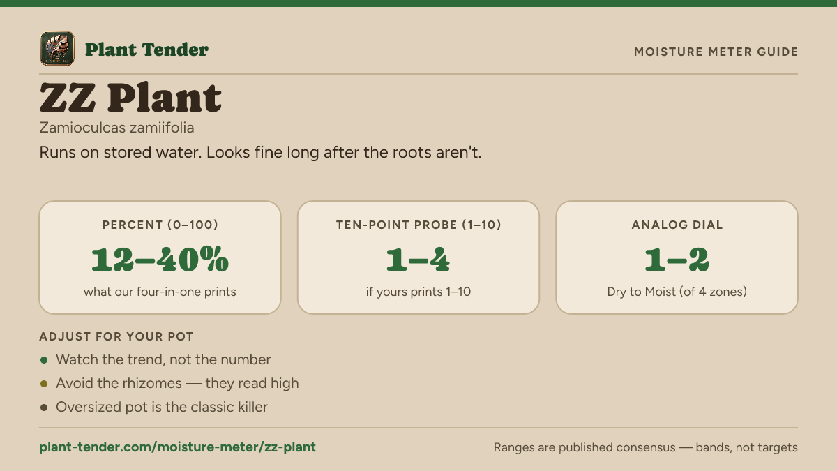 Moisture meter guide for ZZ plant: target range on the 1–10 probe, the analog dial and percent, plus soil-mix adjustments